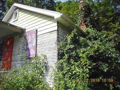 16737 Dolphin (6)_m.jpg